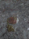 Shell earrings and pendant set