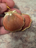 Shell earrings