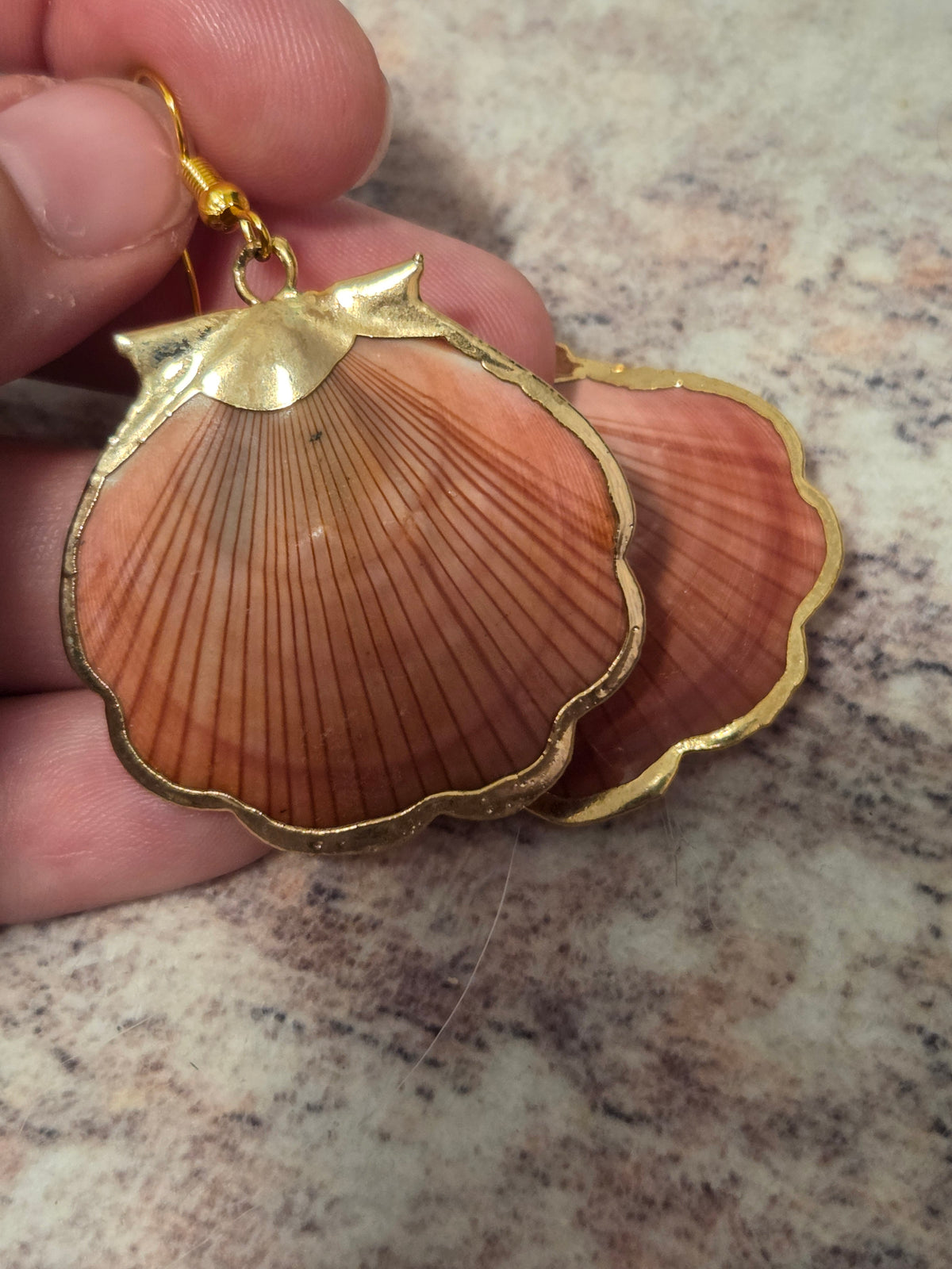 Shell earrings